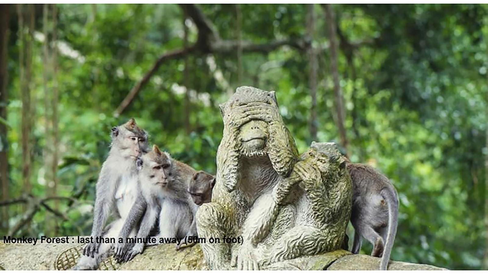 गेस्ट हाउस Pande Permai